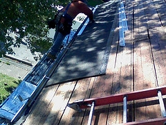 shingle roof cost